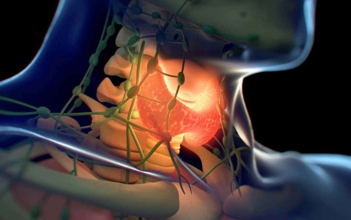 The 12 Worst Endocrine Disruptors in Your Body The 12 Worst Endocrine Disruptors in Your Body