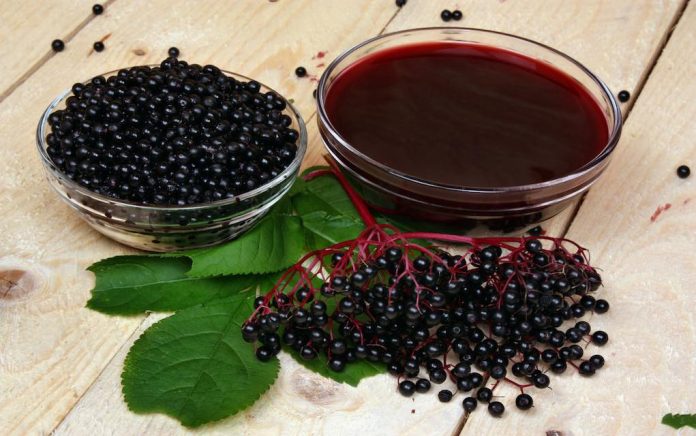 Elderberry Elderberry