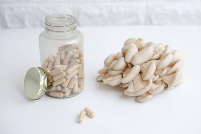 medicinal mushrooms medicinal mushrooms