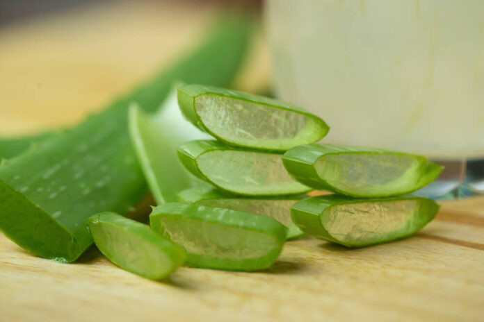 acne and aloe acne and aloe